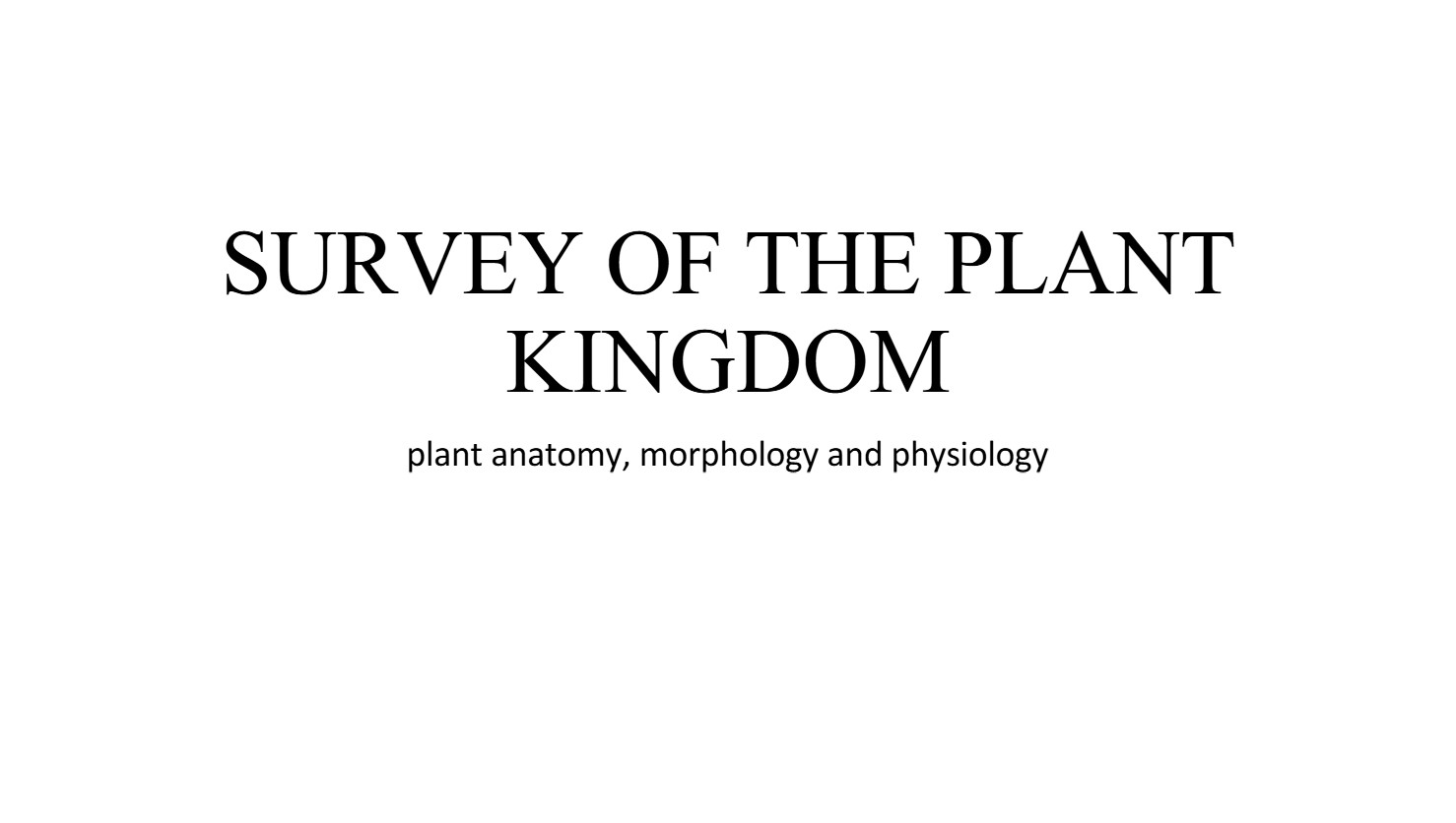 No preview available